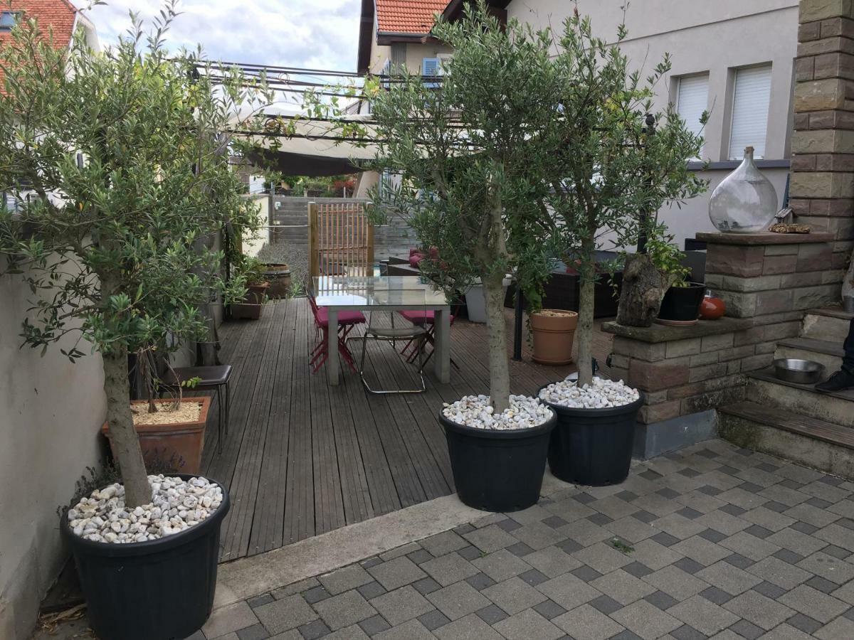 La Terrasse Selestadienne Selestat Bagian luar foto